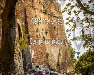 Tour Amical Toscana (groep 2) photo