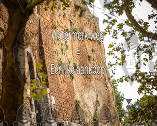 Tour Amical Toscana (groep 2) photo