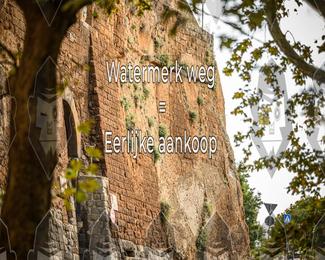 Tour Amical Toscana (groep 2) photo
