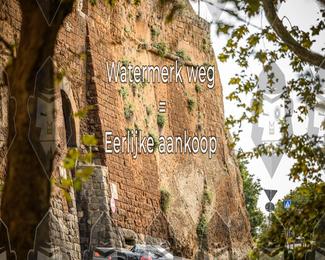 Tour Amical Toscana (groep 2) photo