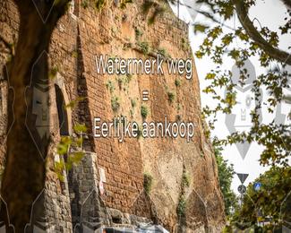 Tour Amical Toscana (groep 2) photo