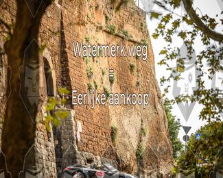 Tour Amical Toscana (groep 2) photo