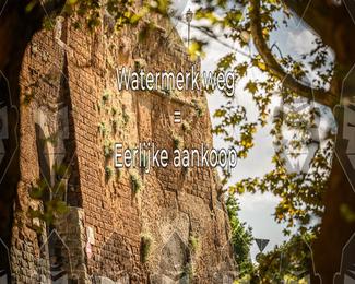 Tour Amical Toscana (groep 2) photo