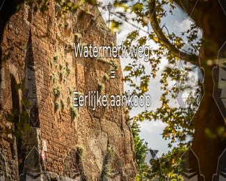 Tour Amical Toscana (groep 2) photo