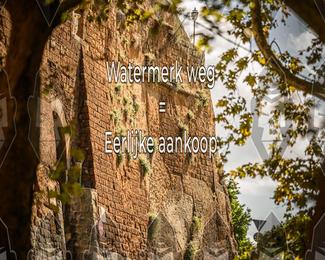 Tour Amical Toscana (groep 2) photo