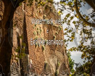 Tour Amical Toscana (groep 2) photo