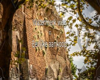 Tour Amical Toscana (groep 2) photo