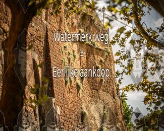 Tour Amical Toscana (groep 2) photo