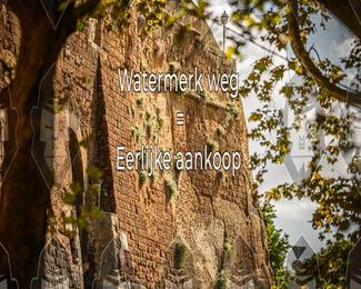 Tour Amical Toscana (groep 2) photo