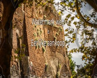 Tour Amical Toscana (groep 2) photo