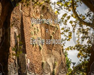 Tour Amical Toscana (groep 2) photo