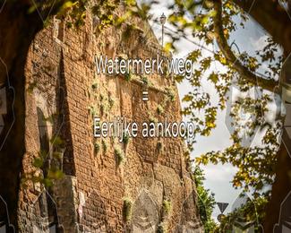 Tour Amical Toscana (groep 2) photo