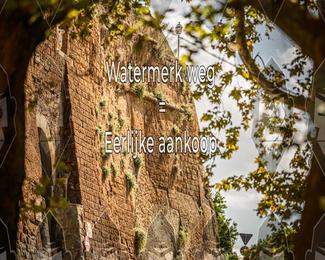 Tour Amical Toscana (groep 2) photo