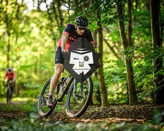 Veldslag om Norg photo