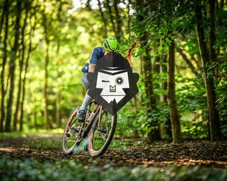 Veldslag om Norg photo