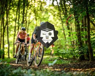 Veldslag om Norg photo