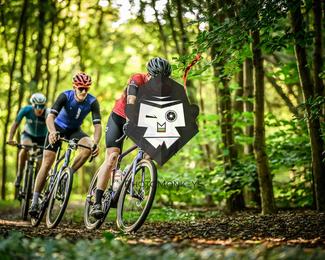 Veldslag om Norg photo