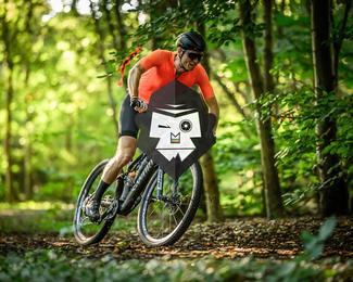 Veldslag om Norg photo