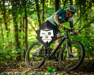 Veldslag om Norg photo