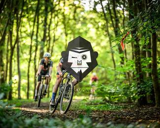 Veldslag om Norg photo