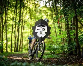 Veldslag om Norg photo