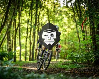 Veldslag om Norg photo