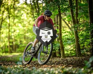 Veldslag om Norg photo