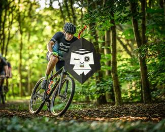 Veldslag om Norg photo