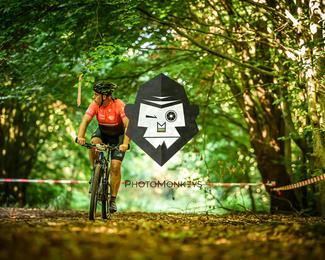 Veldslag om Norg photo