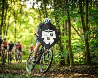 Veldslag om Norg photo