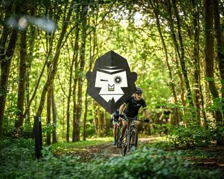 Veldslag om Norg photo