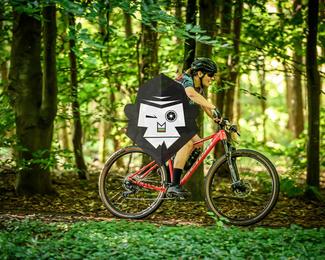 Veldslag om Norg photo