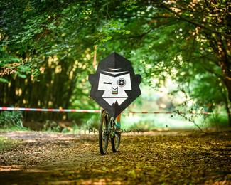 Veldslag om Norg photo