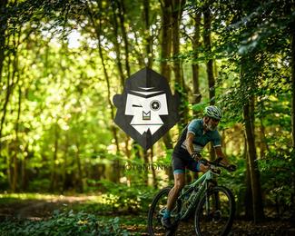 Veldslag om Norg photo