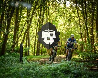 Veldslag om Norg photo