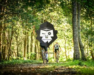 Veldslag om Norg photo