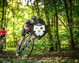 Veldslag om Norg photo