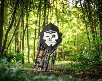 Veldslag om Norg photo