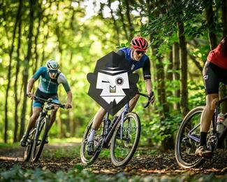 Veldslag om Norg photo