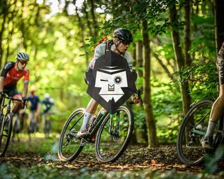 Veldslag om Norg photo