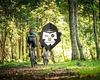 Veldslag om Norg photo