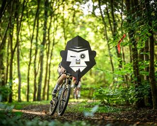 Veldslag om Norg photo