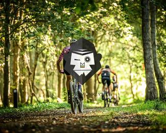 Veldslag om Norg photo