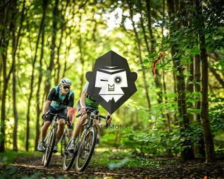 Veldslag om Norg photo