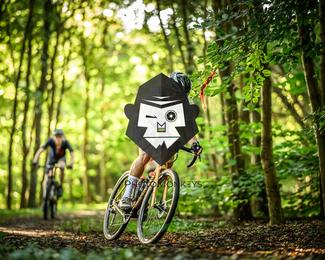 Veldslag om Norg photo