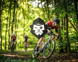 Veldslag om Norg photo