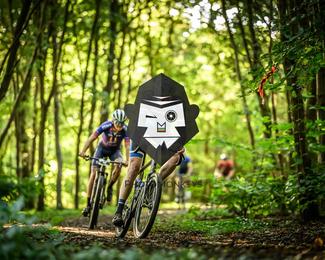 Veldslag om Norg photo