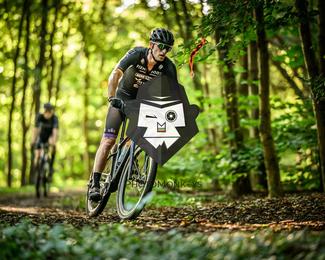 Veldslag om Norg photo