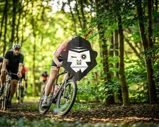 Veldslag om Norg photo