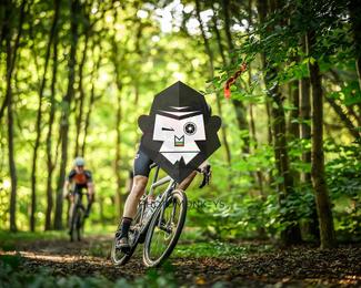 Veldslag om Norg photo